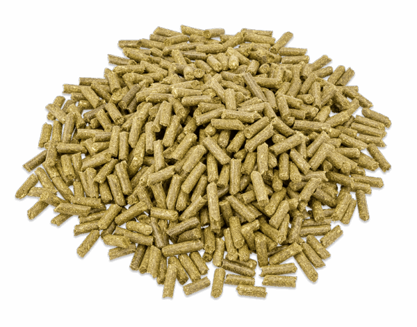 Metazoa Fitright (BalanceFit) Esparcette 15kg - Image 2