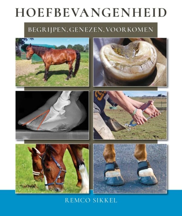 Remco Sikkel: Laminitis NL