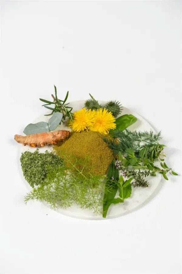 Natuly Bio-Chi Carnivore 100 grammes – Image 2