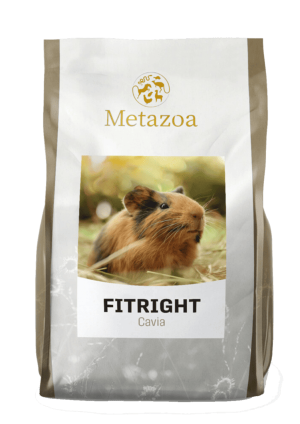 Metazoa Fitright Guinea Pig